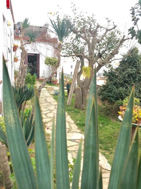 Hostal Casa Torrent Canet De Mar Buitenkant foto